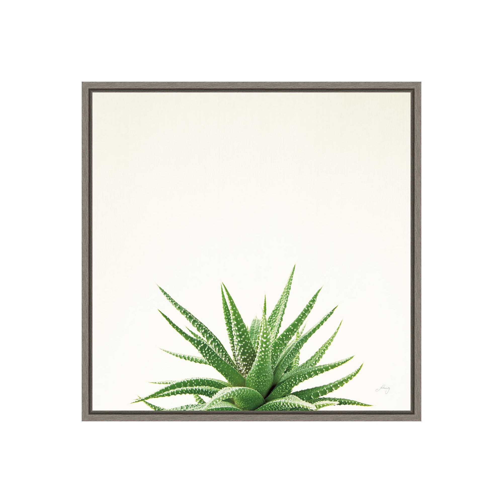 Amanti Art Succulent Simplicity I Neutral Framed Canvas Print, Gray