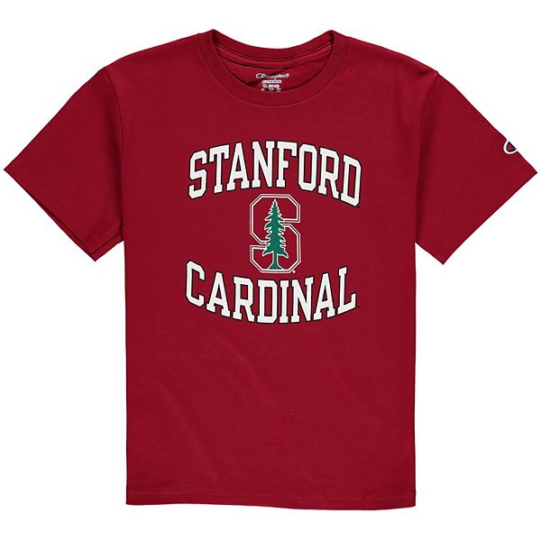 Youth Champion Gray Catholic University Cardinals Jersey T-Shirt