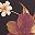 Natural Bloom