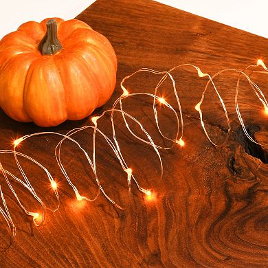 LumaBase Orange Fairy String Lights