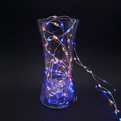 LumaBase 2-Piece Fairy String Light Set With Remote