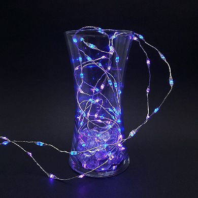 LumaBase 2-Piece Fairy String Light Set With Remote