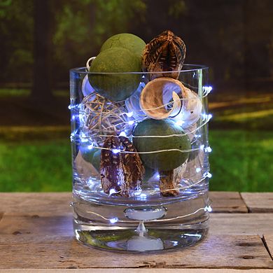 LumaBase LED Cool White Fairy String Lights 6-piece Set
