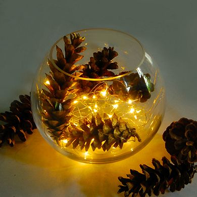 LumaBase LED Warm White Fairy String Lights 6-piece Set