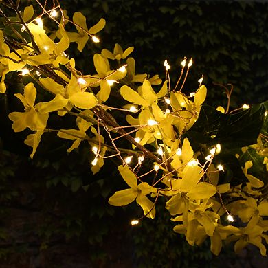 LumaBase Battery Operated LED Firecracker Fairy String Lights - Copper (Set of 2)