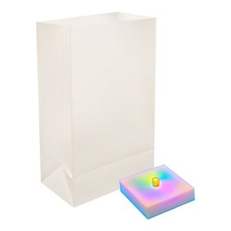 Battery Operated Luminaria Kit with Timer - Set of 6 (Color Changing)