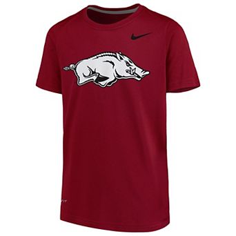Youth Nike Arkansas Razorbacks Cardinal Logo Legend Performance T-Shirt