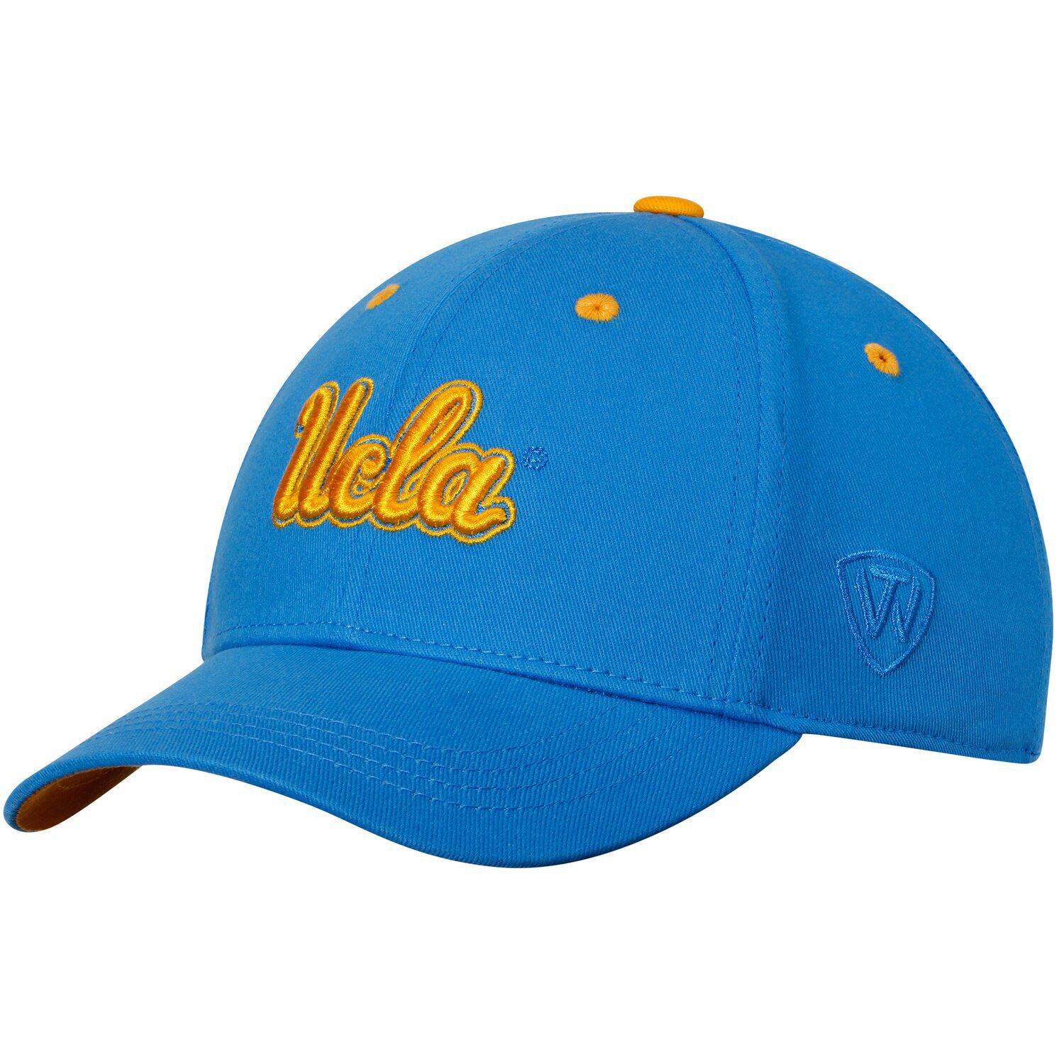 bruins pride hat