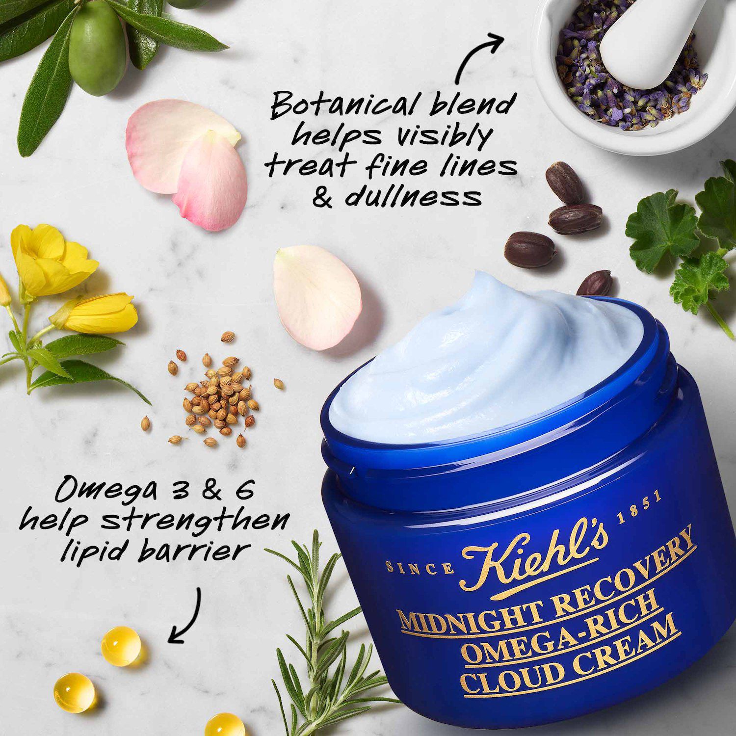 Kiehl's Since 1851 Midnight Recovery Omega-Rich Cloud Cream