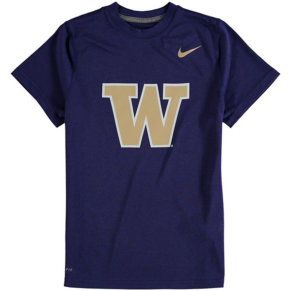 Youth Nike Purple Washington Huskies Logo Legend Dri-FIT T-Shirt