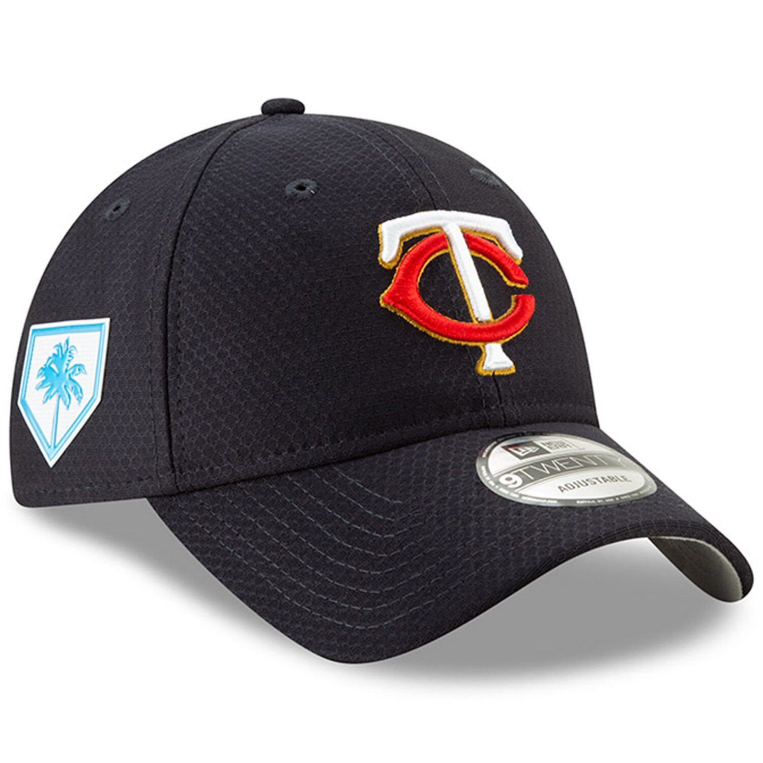 twins spring training hat