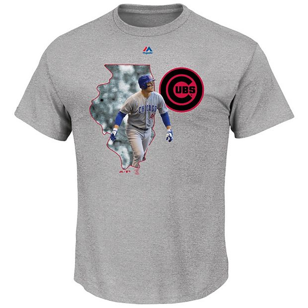 Men's Majestic Anthony Rizzo Gray Chicago Cubs The Bigger Prize Player T- Shirt