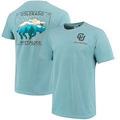 Men's Delaware Blue Coats Fanatics Branded Blue Primary Logo T-Shirt