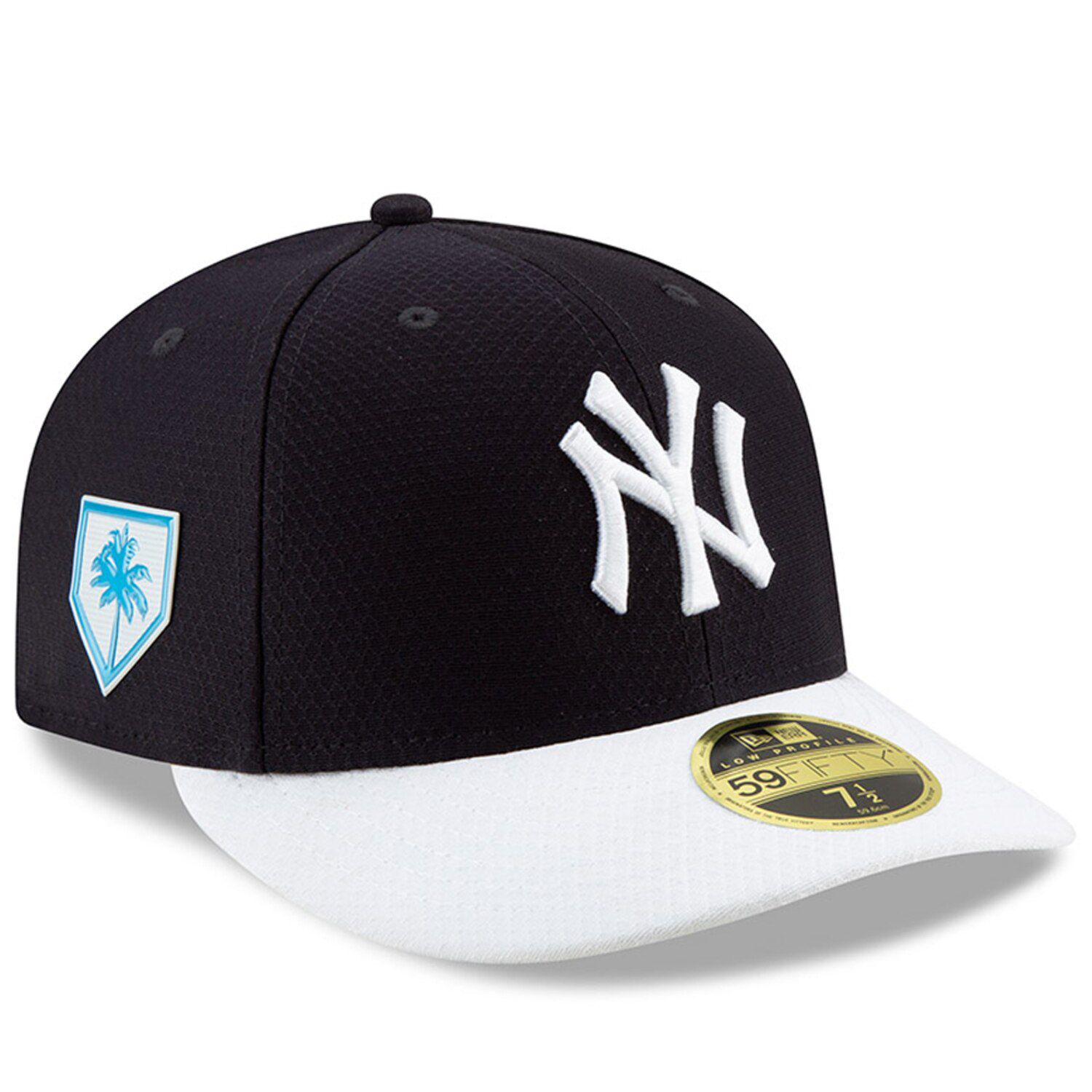 new era spring training 2019