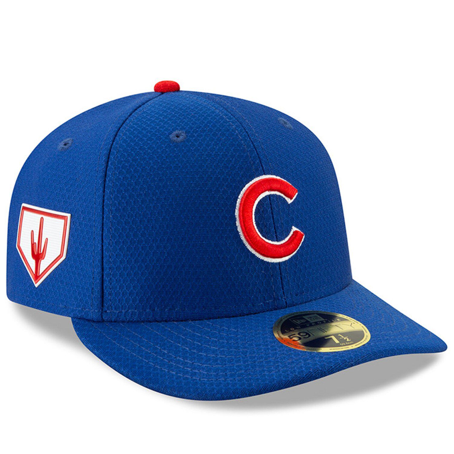 spring training 2019 hats