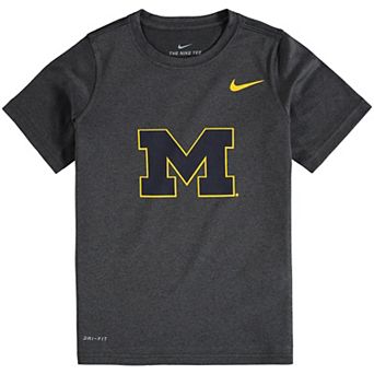 Youth Nike Anthracite Michigan Wolverines Logo Legend Performance T-Shirt