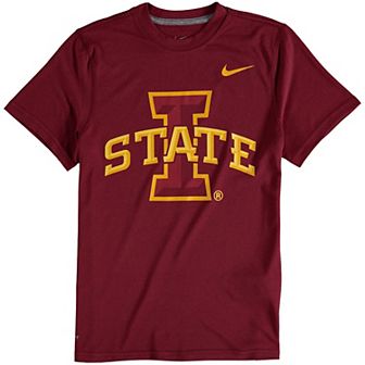 Youth Nike Iowa State Cyclones Cardinal Logo Legend Performance T-Shirt