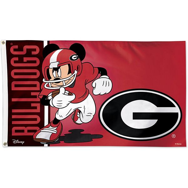 WinCraft Louisville Cardinals 3' x 5' Disney One-Sided Flag