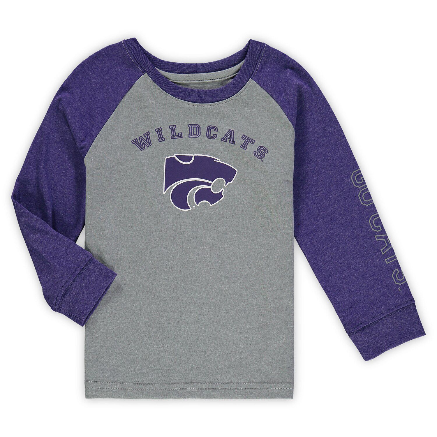 Men's Fanatics Branded Heathered Gray/Heathered Purple Minnesota Vikings  Weekend Casual Tri-Blend Raglan Long Sleeve T-Shirt