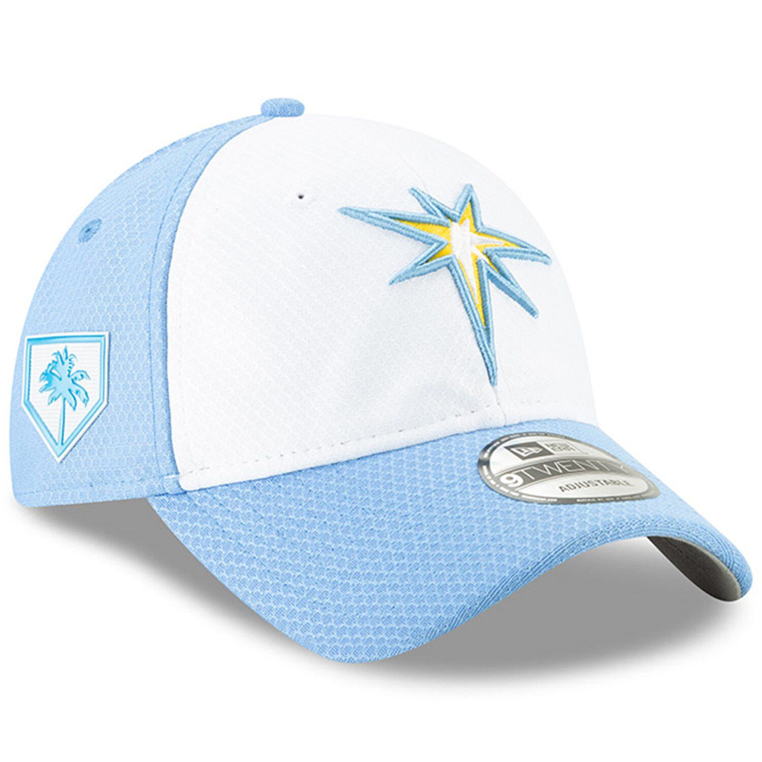 tampa bay rays spring training hat