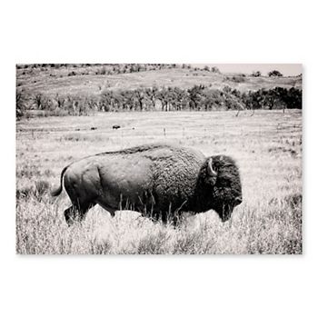 Artissimo Designs Buffalo I Canvas Wall Art