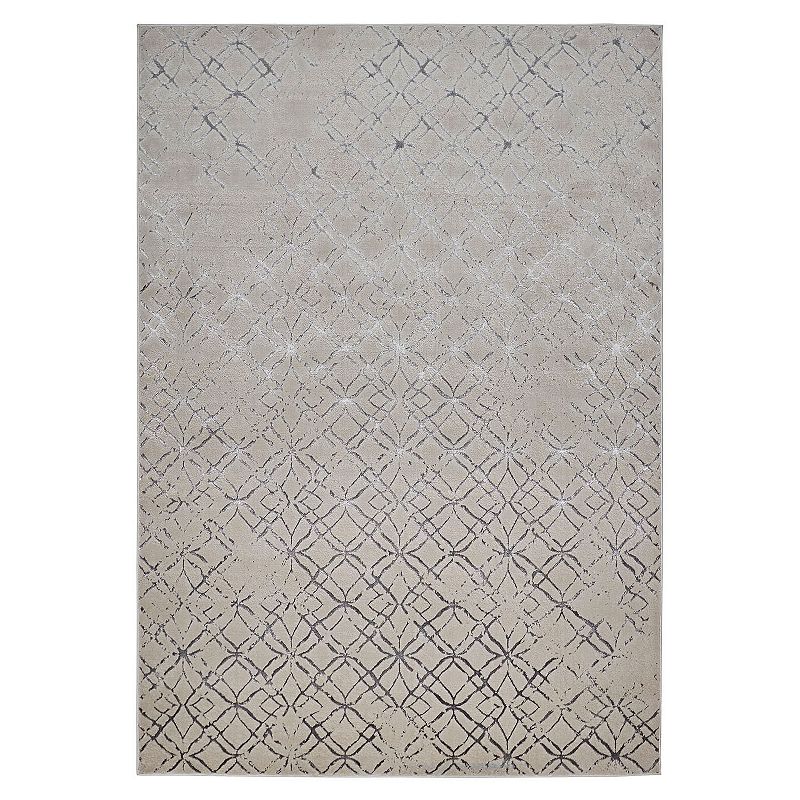 Weave & Wander Orin Distressed Rug, Silver, 5X8 Ft