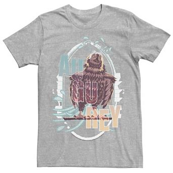 Men's Harry Potter Fantastic Beasts Augurey The Irish Phoenix Graphic Tee