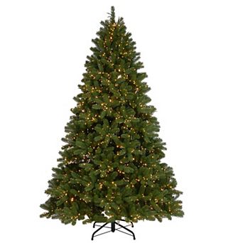 National Tree Company Downswept Douglas Fir Tree with Dual Color® LED Cosmic Lights®
