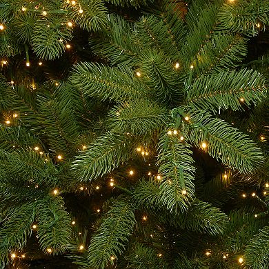 National Tree Company Downswept Douglas Fir Tree with Dual Color® LED ...