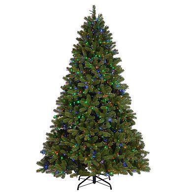 National Tree Company Downswept Douglas Fir Tree with Dual Color® LED Cosmic Lights®