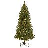 National Tree Company 7' Canadian Grande Fir Tree with Clear Lights