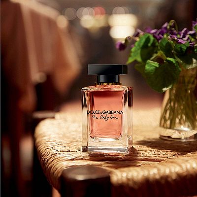 Dolce and gabbana the one kohls shop