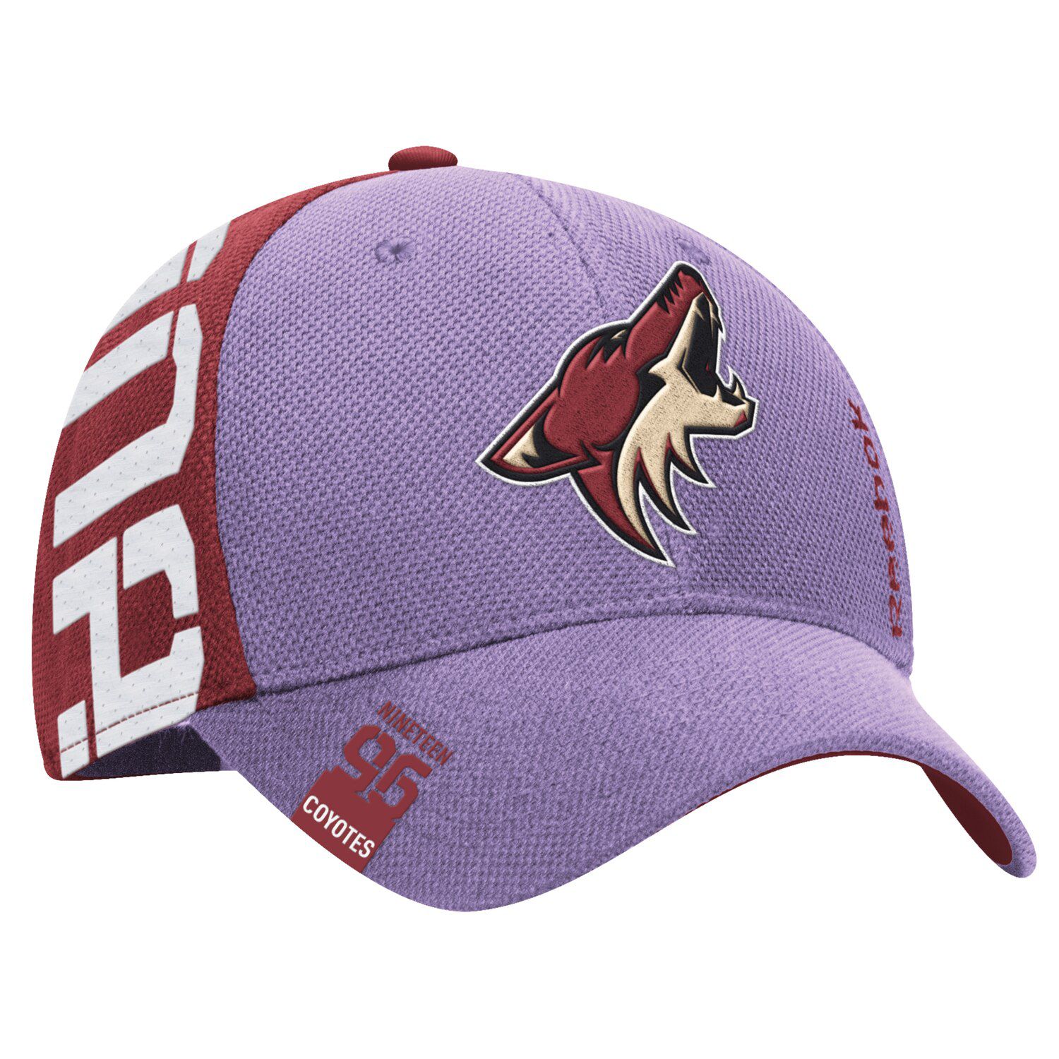 arizona coyotes hockey fights cancer