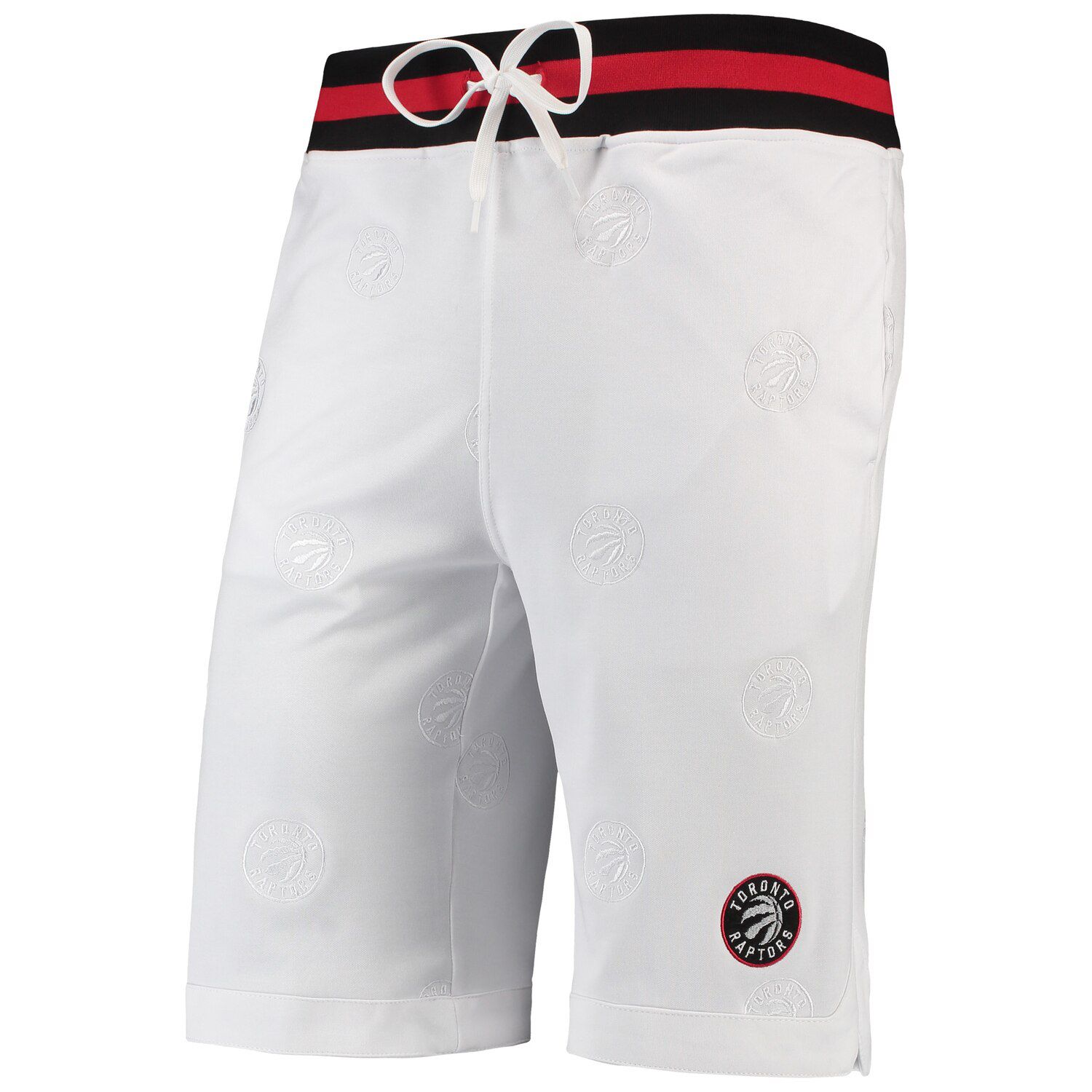 toronto raptors jersey shorts