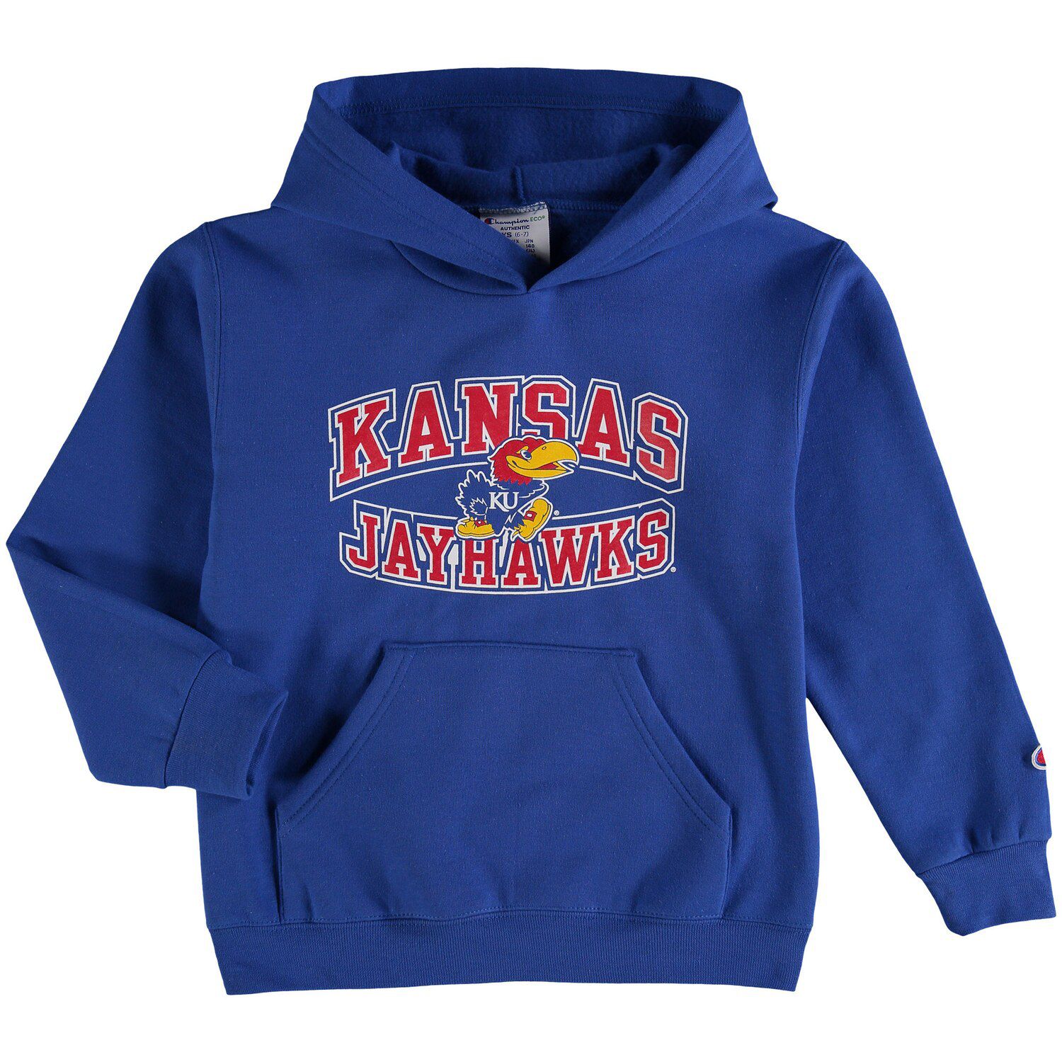 champions hoodie youth