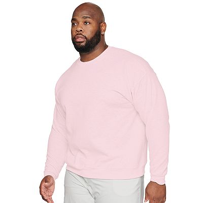 Hanes men's ecosmart fleece sweatshirt best sale