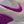 Vivid Purple