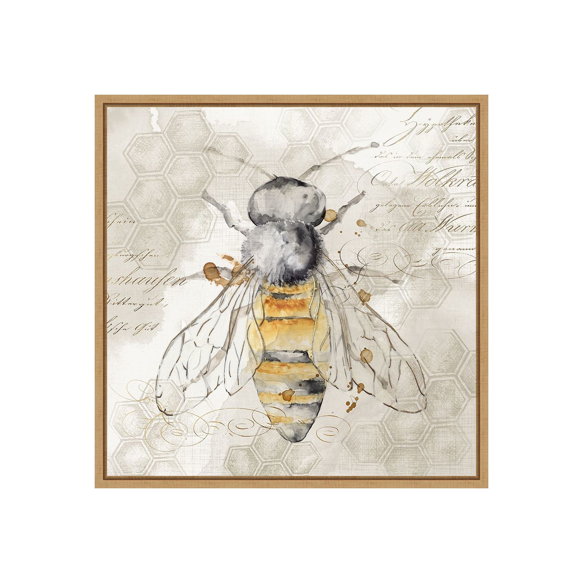 Amanti Art Queen Bee II Framed Canvas Print, Brown
