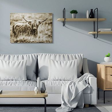 Stupell Home Decor 'Vintage Cow In Pasture Animal Photo' Canvas Art