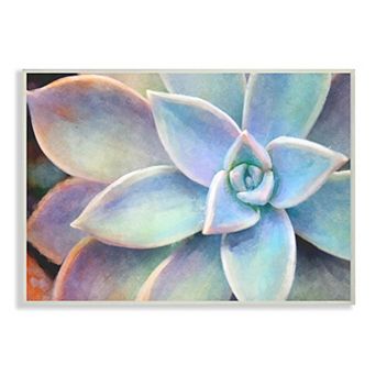 Stupell Home Decor 'Succulent Plant Vibrant Bloom Painting' Stretched Canvas Wall Art