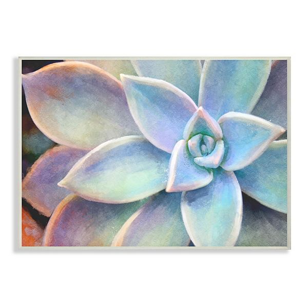 Stupell Home Decor Succulent Plant Vibrant Bloom Painting Stretched Canvas Wall Art