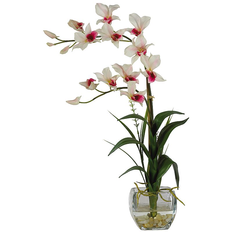 nearly natural Silk Dendrobium Floral Arrangement, Multicolor SilkDendrobium orchidpetals bloomelegantly. Lush, green silk leaves offer a realistic look. Glass vase coordinates with any decor. 22-in. height Planter: 4H x4W Silk/glass Wipe clean  Size: One Size. Color: Multicolor. Gender: unisex. Age Group: adult. Pattern: floral.