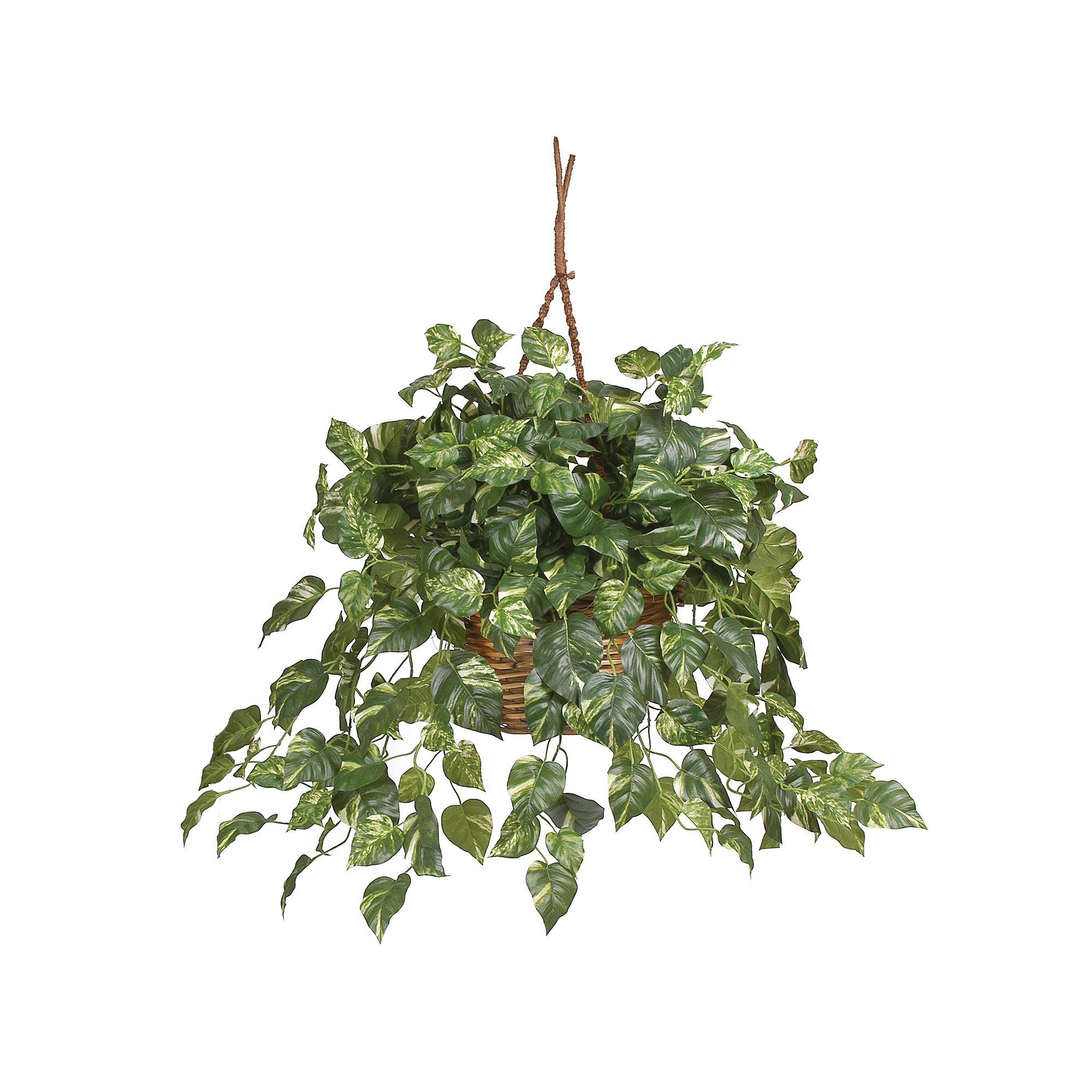 nearly natural Hanging Silk Pothos Plant, Multicolor