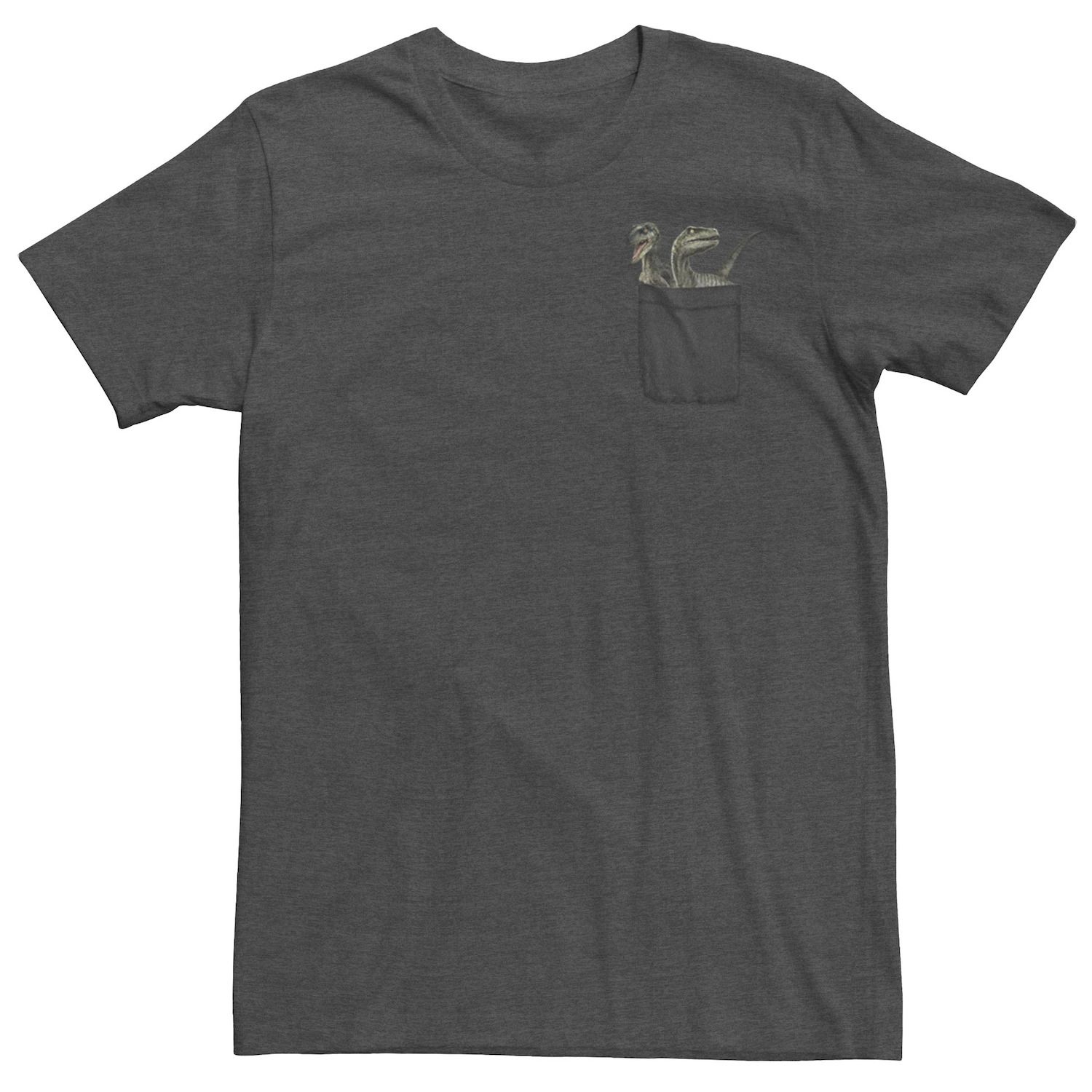 raptors graphic tee