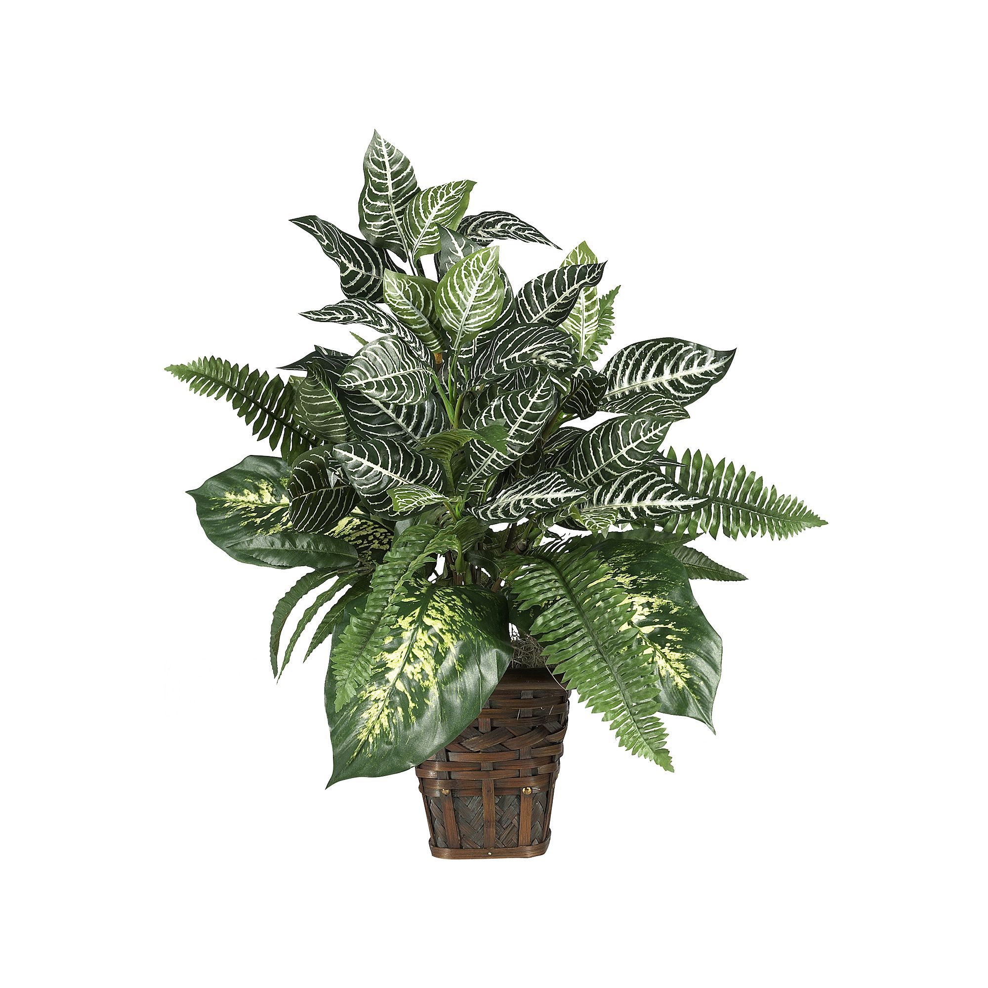 nearly natural Mixed Silk Zebra Fern Arrangement, Multicolor