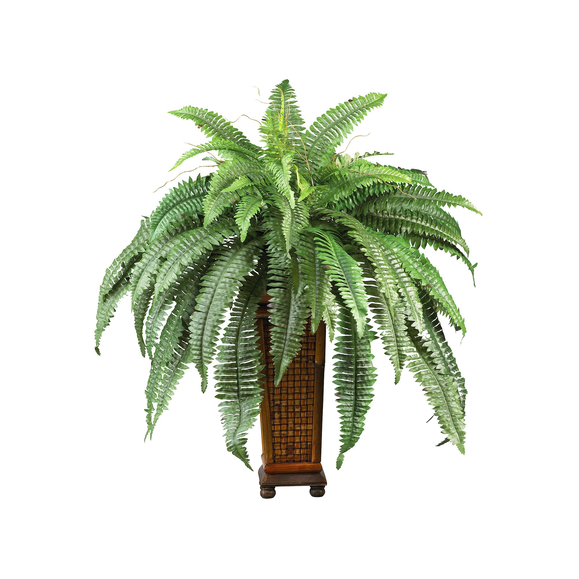 nearly natural Silk Boston Fern Plant, Multicolor
