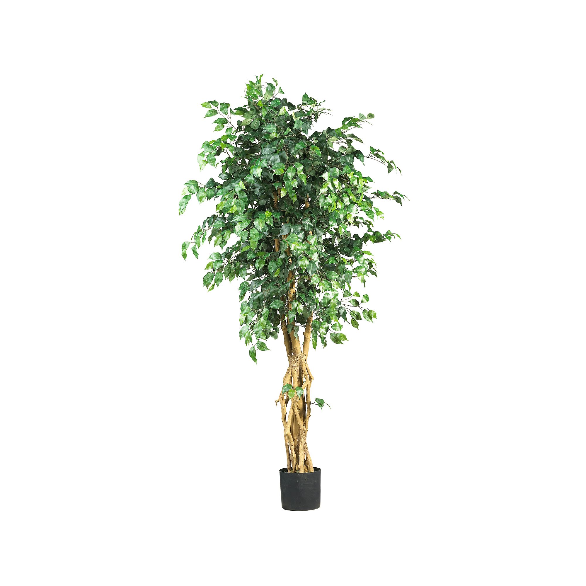 nearly natural Silk Palace Ficus Tree, Multicolor