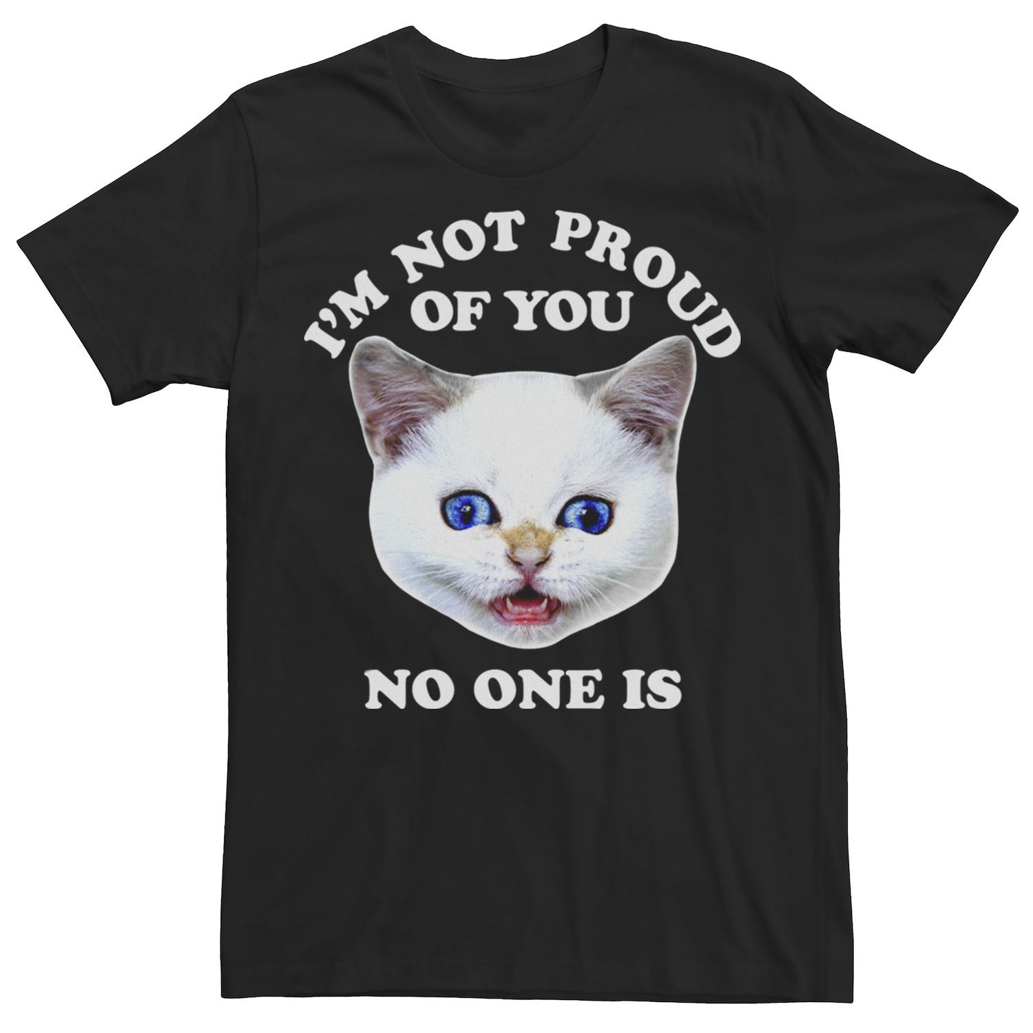 Image for Licensed Character Men's I'm Not Proud Of You Crossed Eyed Kitten Graphic Tee at Kohl's.