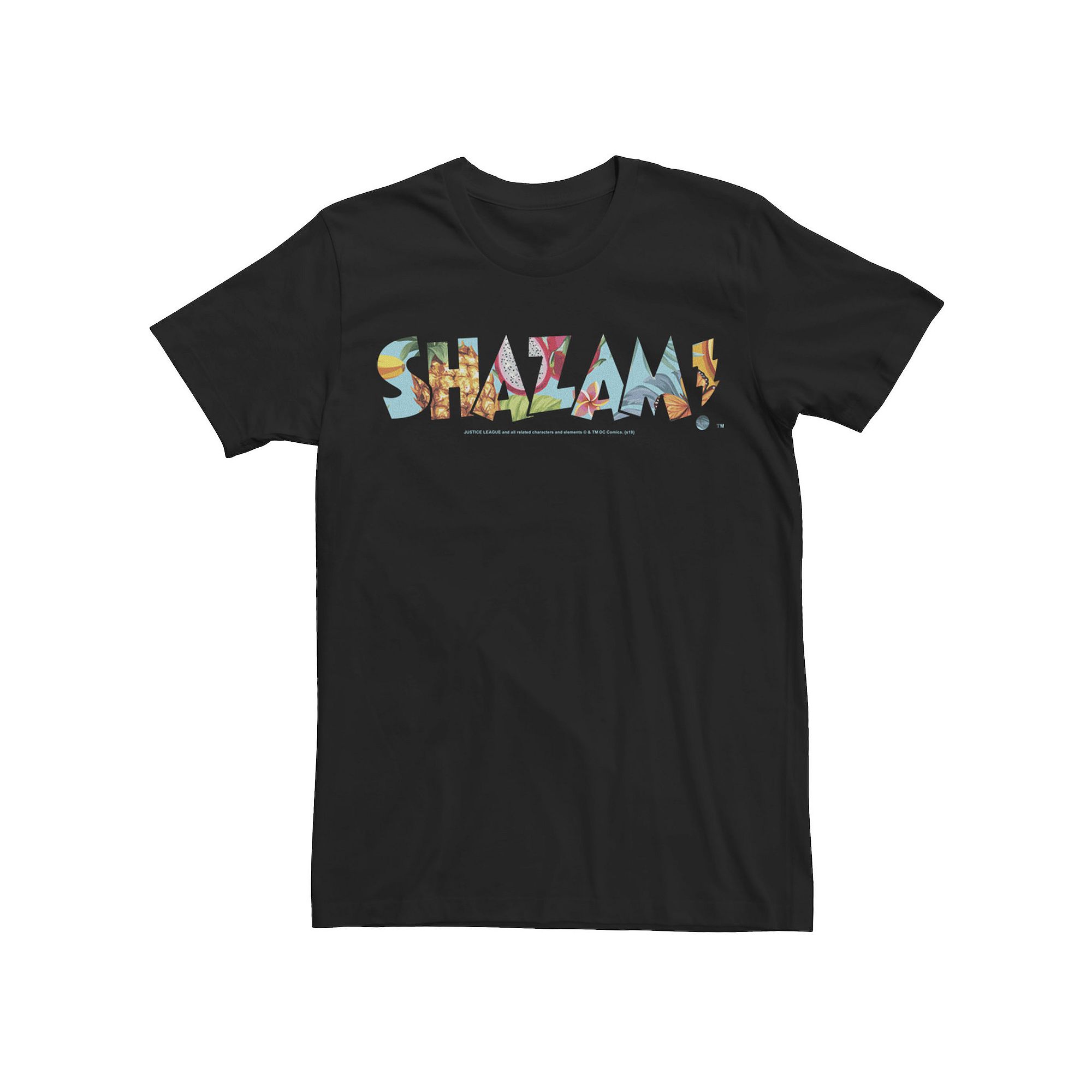 Mens DC Comics Shazam Dragon Fruit Logo Tee, Size: Medium, Black