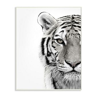 Stupell Home Decor White Tiger Wall Art